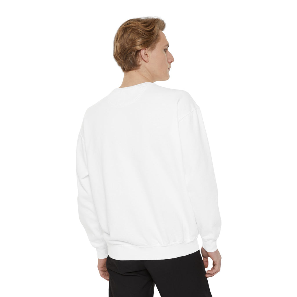 Houston 2026 World Cup Sweatshirt — Astronaut Soccer Retro Graphic